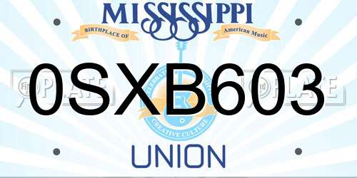 0SXB603 Mississippi License Plate