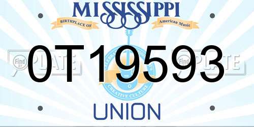 0T19593 Mississippi License Plate