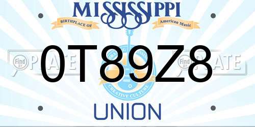 0T89Z8 Mississippi License Plate