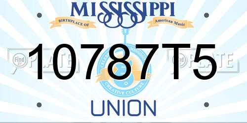 10787T5 Mississippi License Plate