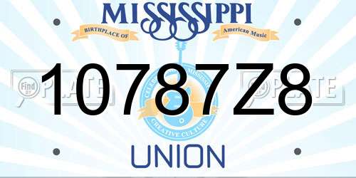 10787Z8 Mississippi License Plate