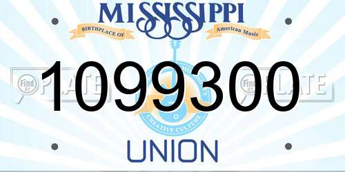 1099300 Mississippi License Plate