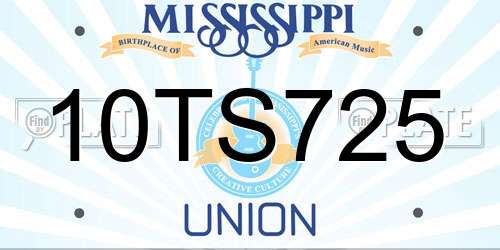 10TS725 Mississippi License Plate