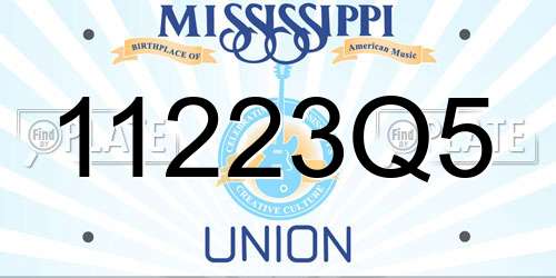 11223Q5 Mississippi License Plate