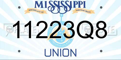 11223Q8 Mississippi License Plate
