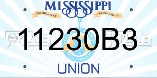 11230B3 Mississippi License Plate