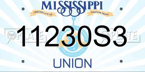 11230S3 Mississippi License Plate