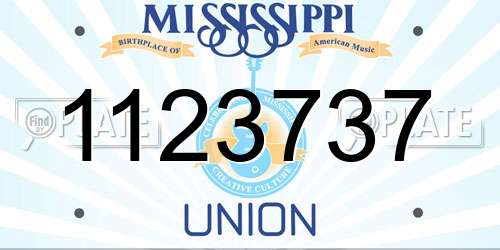 1123737 Mississippi License Plate