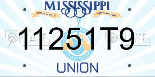11251T9 Mississippi License Plate