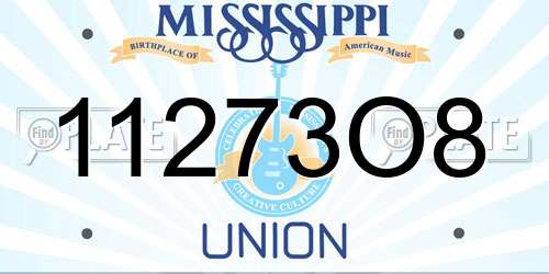 11273O8 Mississippi License Plate