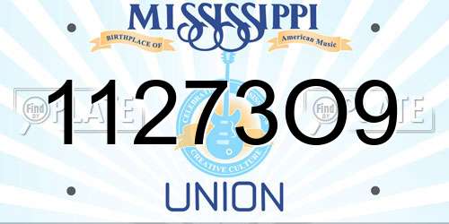 11273O9 Mississippi License Plate