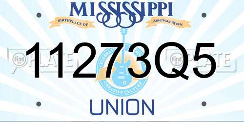 11273Q5 Mississippi License Plate