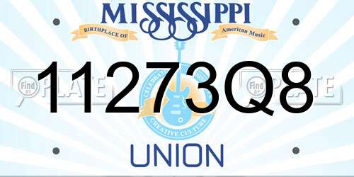 11273Q8 Mississippi License Plate