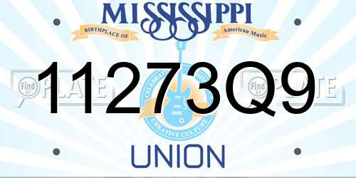 11273Q9 Mississippi License Plate