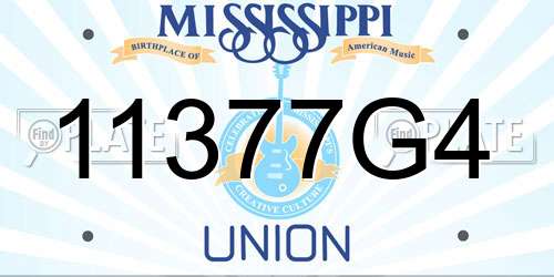 11377G4 Mississippi License Plate