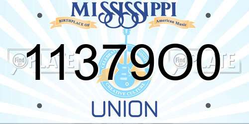 11379O0 Mississippi License Plate