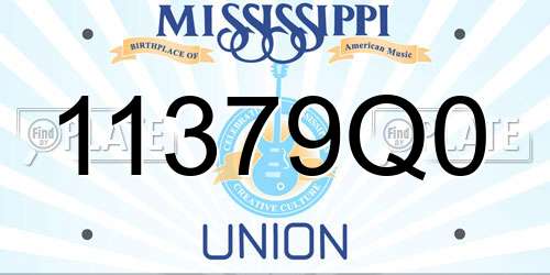 11379Q0 Mississippi License Plate