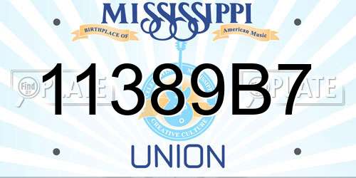 11389B7 Mississippi License Plate