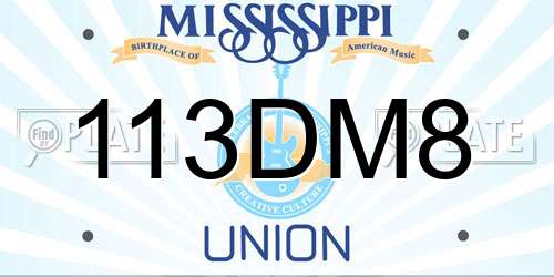 113DM8 Mississippi License Plate