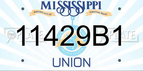 11429B1 Mississippi License Plate