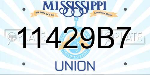 11429B7 Mississippi License Plate