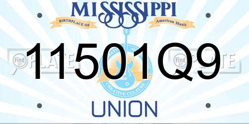 11501Q9 Mississippi License Plate
