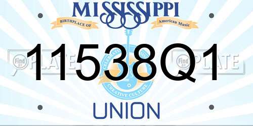 11538Q1 Mississippi License Plate