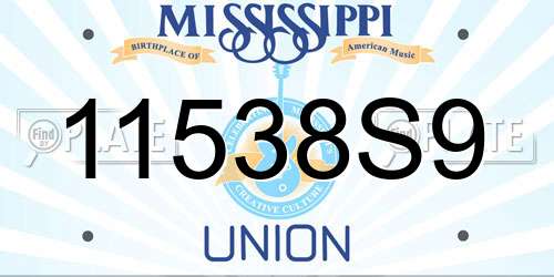 11538S9 Mississippi License Plate