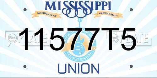 11577T5 Mississippi License Plate
