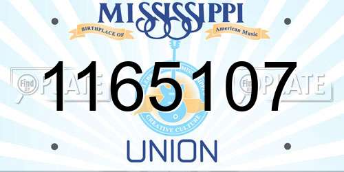 1165107 Mississippi License Plate