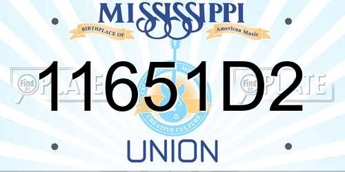 11651D2 Mississippi License Plate