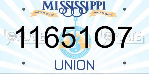 11651O7 Mississippi License Plate