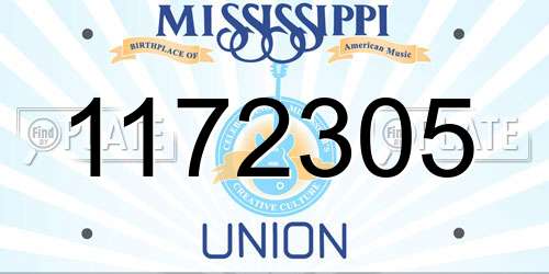 1172305 Mississippi License Plate