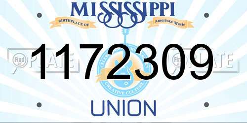 1172309 Mississippi License Plate
