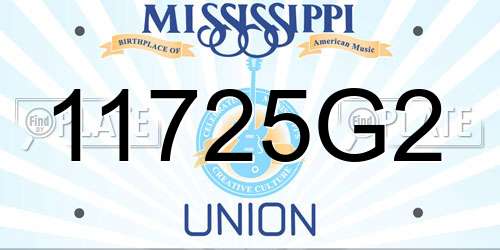 11725G2 Mississippi License Plate