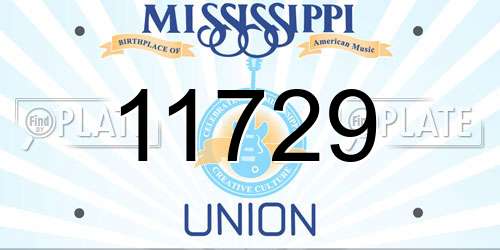 11729 Mississippi License Plate