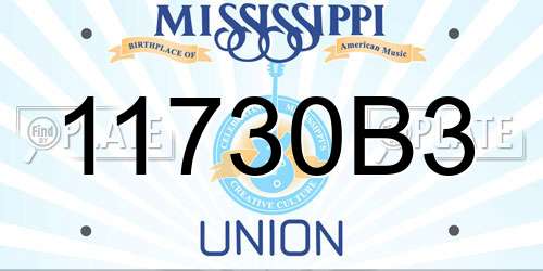 11730B3 Mississippi License Plate
