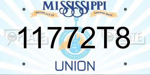 11772T8 Mississippi License Plate