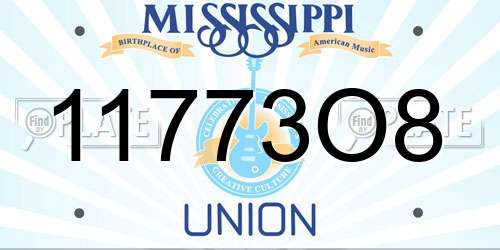 11773O8 Mississippi License Plate