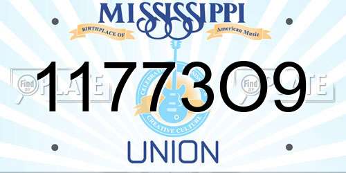 11773O9 Mississippi License Plate