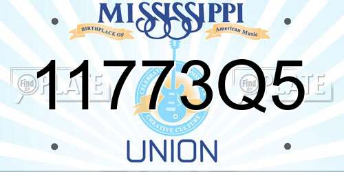 11773Q5 Mississippi License Plate