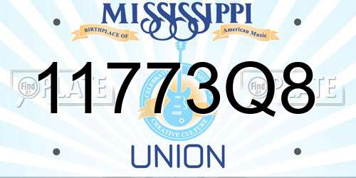 11773Q8 Mississippi License Plate