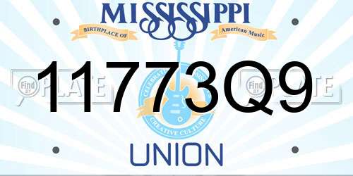 11773Q9 Mississippi License Plate