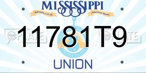11781T9 Mississippi License Plate
