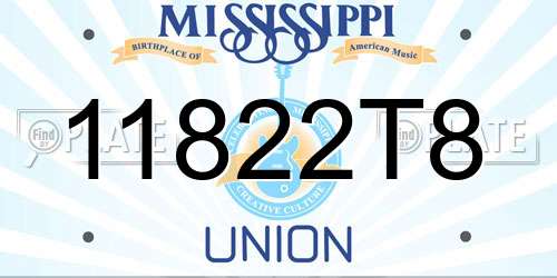11822T8 Mississippi License Plate
