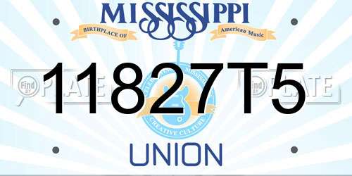 11827T5 Mississippi License Plate