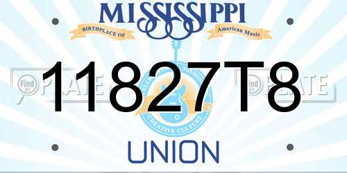 11827T8 Mississippi License Plate