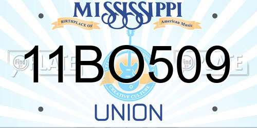 11BO509 Mississippi License Plate