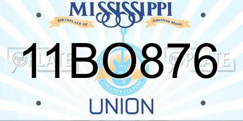 11BO876 Mississippi License Plate