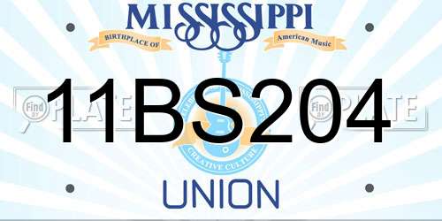 11BS204 Mississippi License Plate